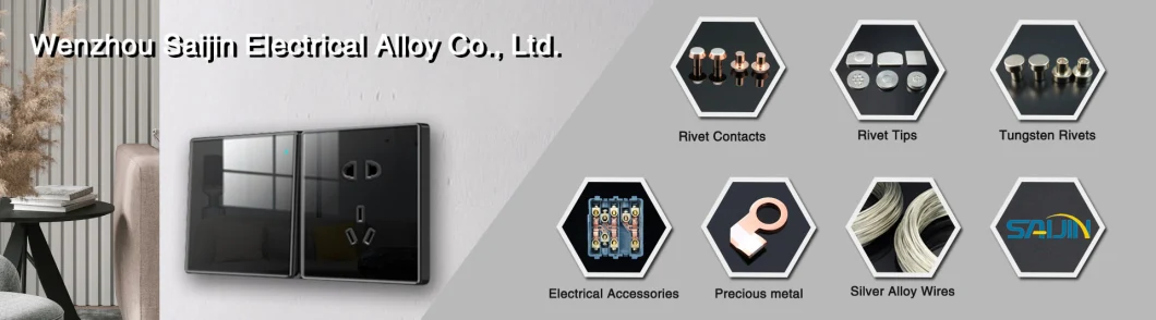 Contact Tips for Omnipotence Breakers Electrical Contact Point for Relays Electrical Silver Contact Tips